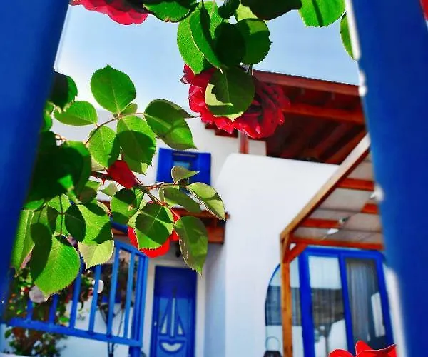 Rose On The Villa *