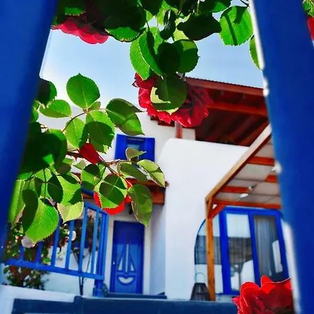 Rose On The Villa *